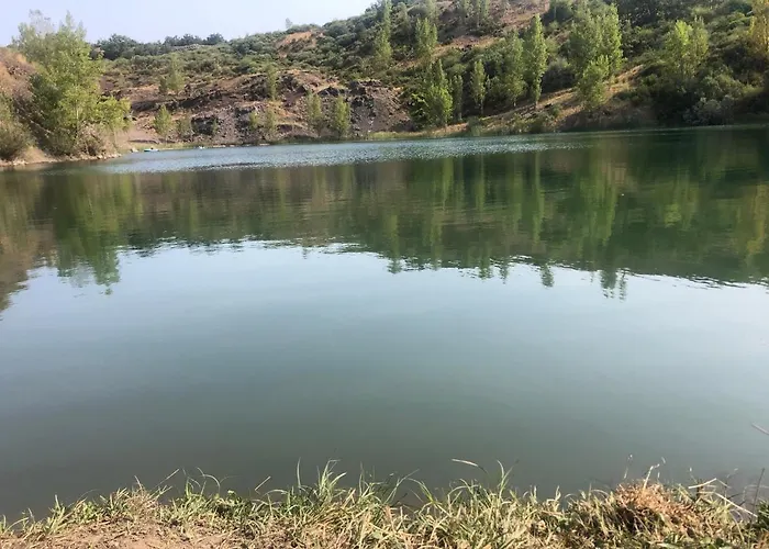 Casa De San Martín De Valdetuejar Сasa de vacaciones *